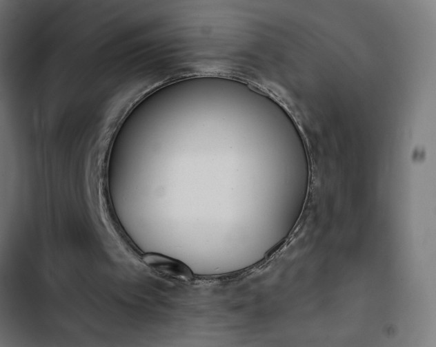 X0000103260097200809051453