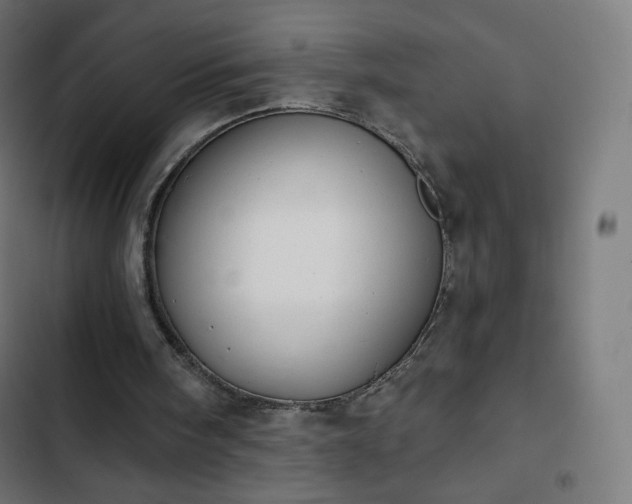 X0000103260098200809051453