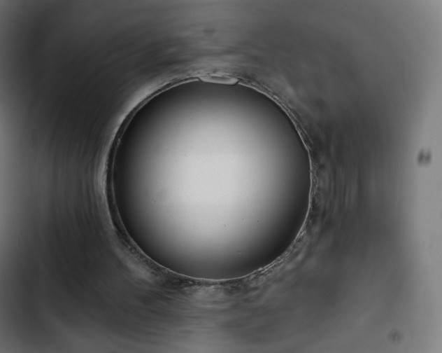 X0000103260100200809051453