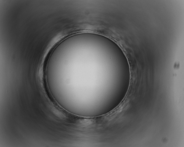 X0000103260102200809051453