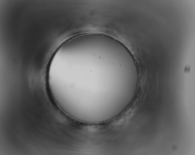 X0000103260103200809051453