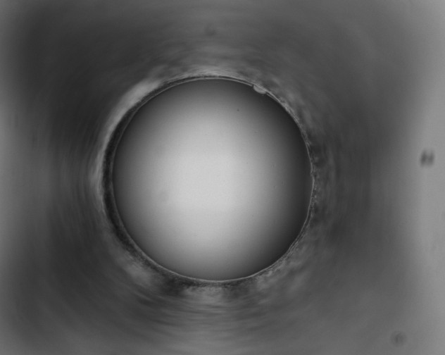 X0000103260104200809051453