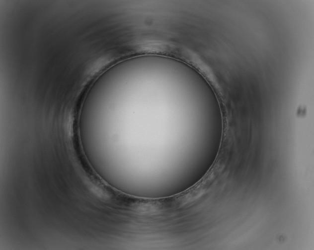 X0000103260106200809051453