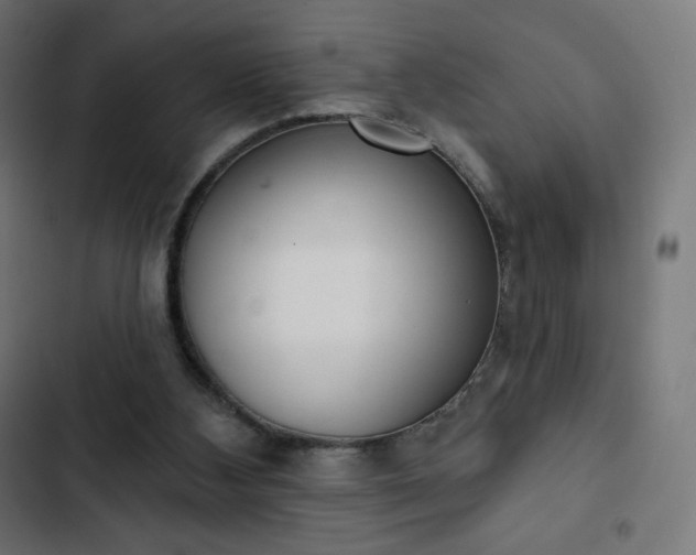 X0000103260108200809051453