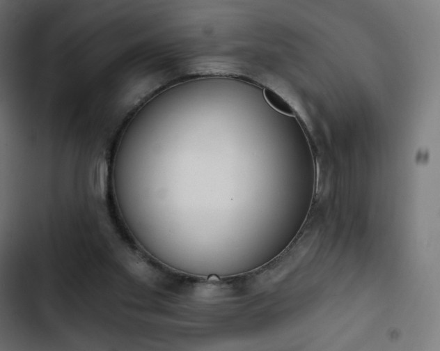 X0000103260109200809051453