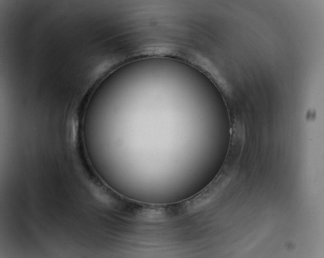 X0000103260110200809051453