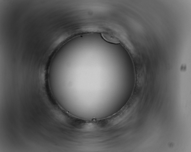 X0000103260111200809051453