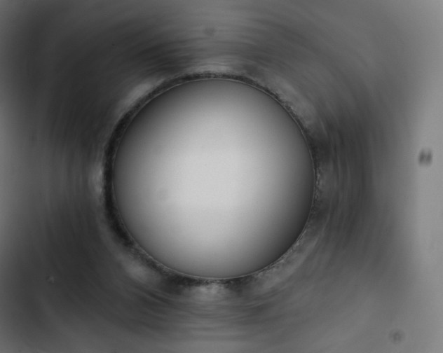 X0000103260112200809051453