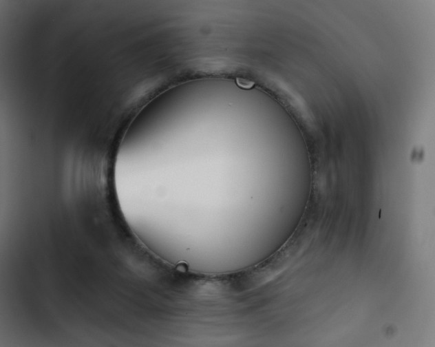 X0000103260115200809051453