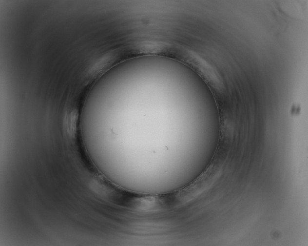 X0000103260118200809051453