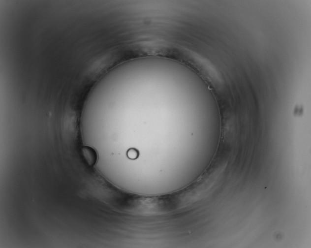 X0000103260121200809051453