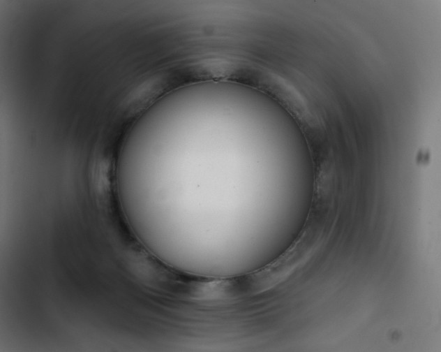 X0000103260122200809051453