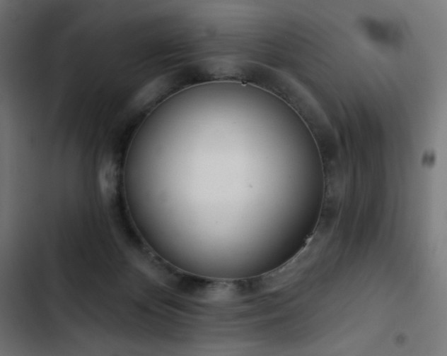 X0000103260124200809051453