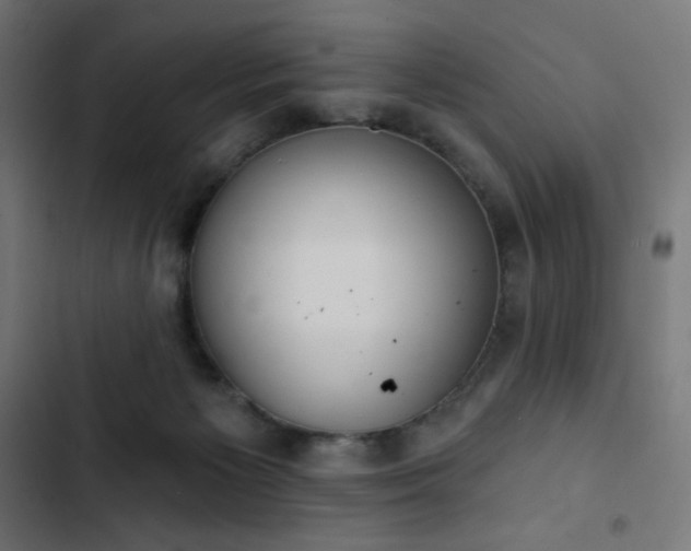 X0000103260125200809051453