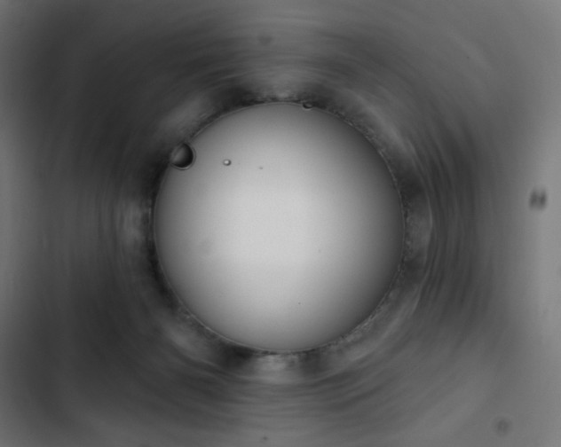 X0000103260126200809051453