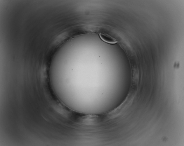 X0000103260128200809051452