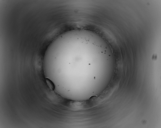 X0000103260129200809051452