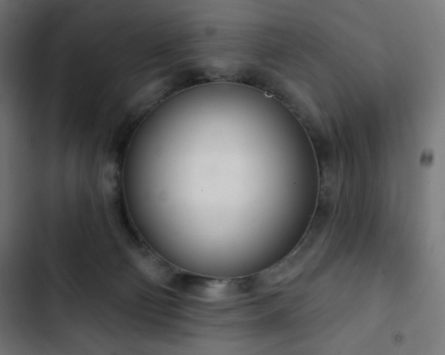 X0000103260130200809051452