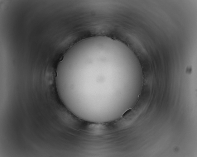 X0000103260133200809051452