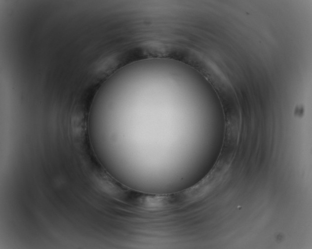 X0000103260134200809051452