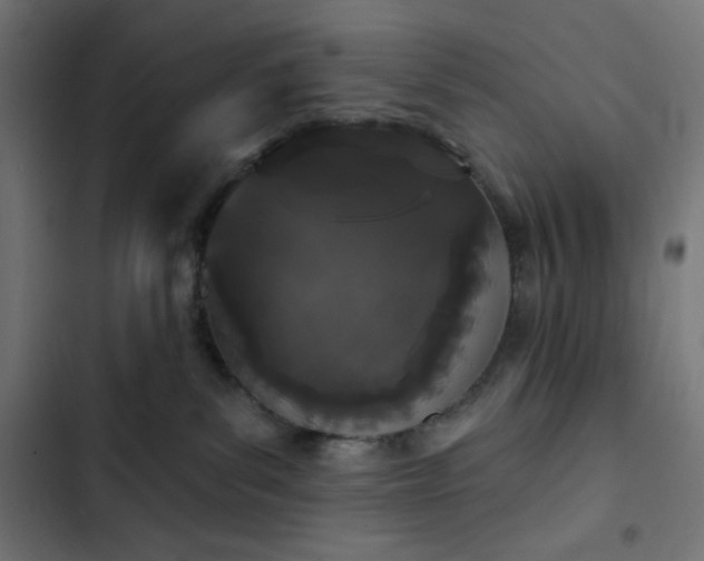 X0000103260139200809051452