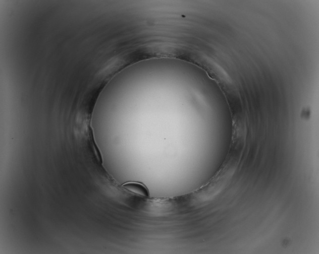 X0000103260141200809051452