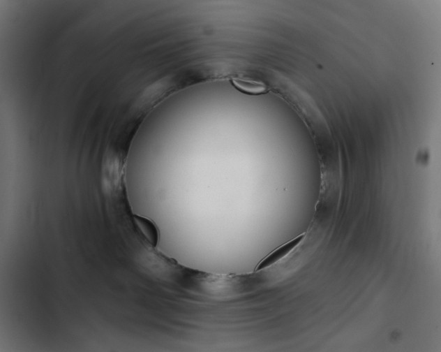 X0000103260142200809051452