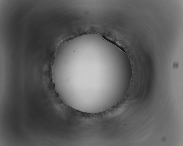 X0000103260144200809051452