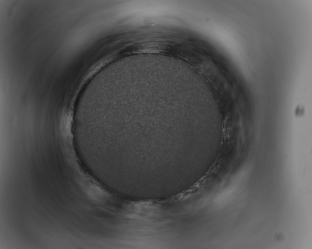 X0000103260146200809051451