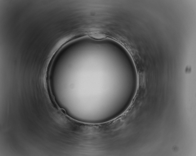 X0000103260147200809051452