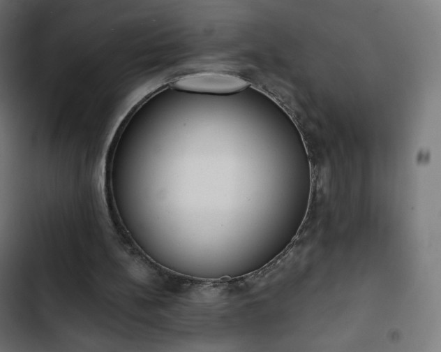 X0000103260148200809051452