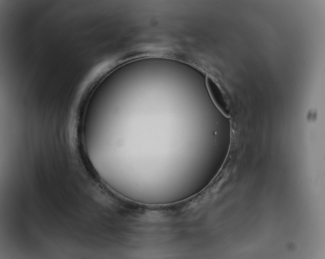 X0000103260149200809051452