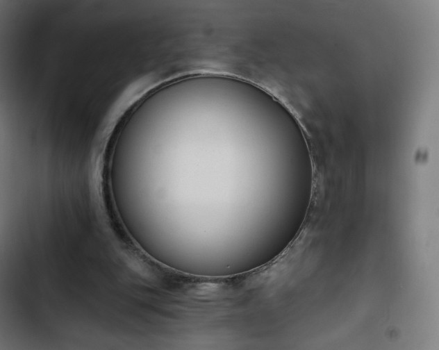 X0000103260151200809051452