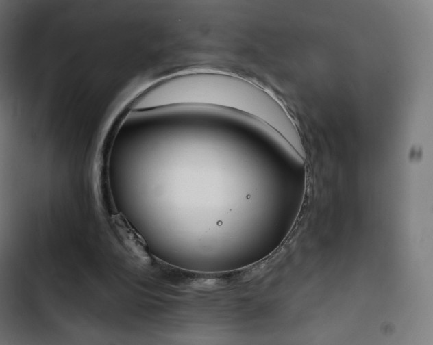 X0000103260152200809051452