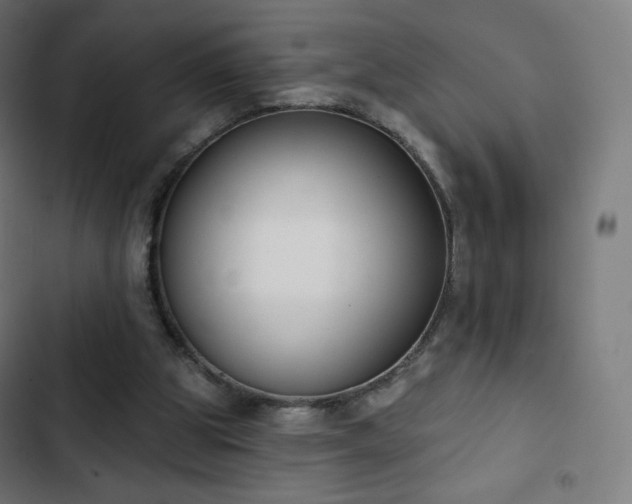 X0000103260153200809051452