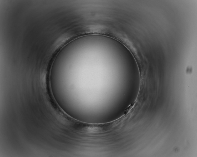 X0000103260154200809051452