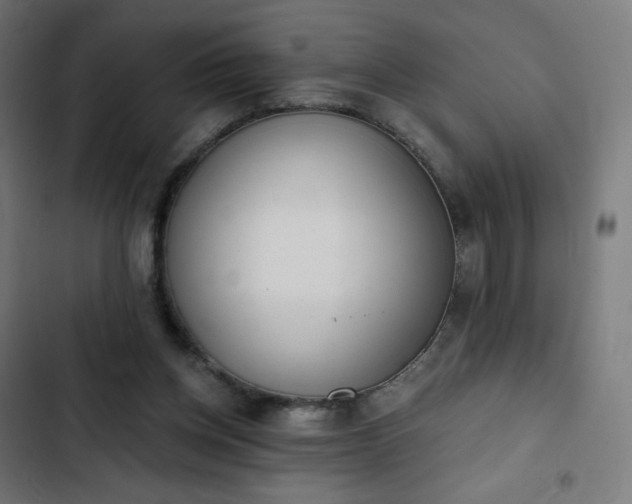 X0000103260158200809051452