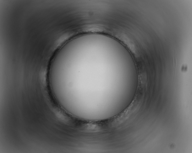 X0000103260159200809051452