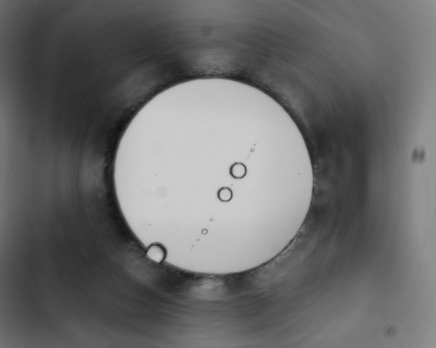 X0000103260162200809051452