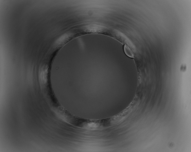 X0000103260163200809051452