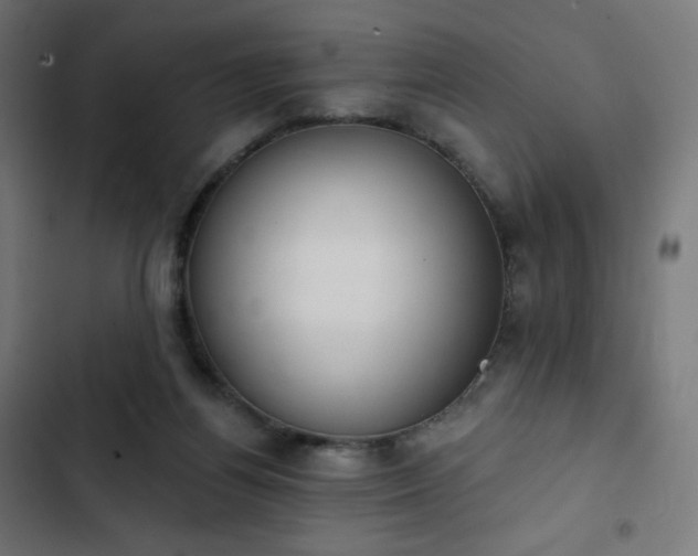 X0000103260164200809051452