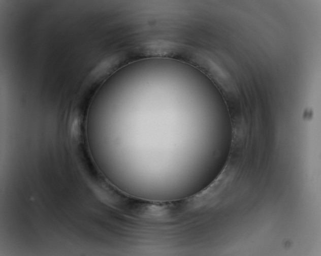 X0000103260166200809051452