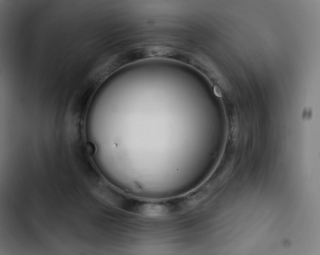 X0000103260169200809051452