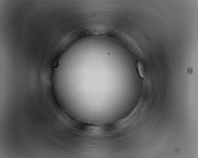 X0000103260170200809051452