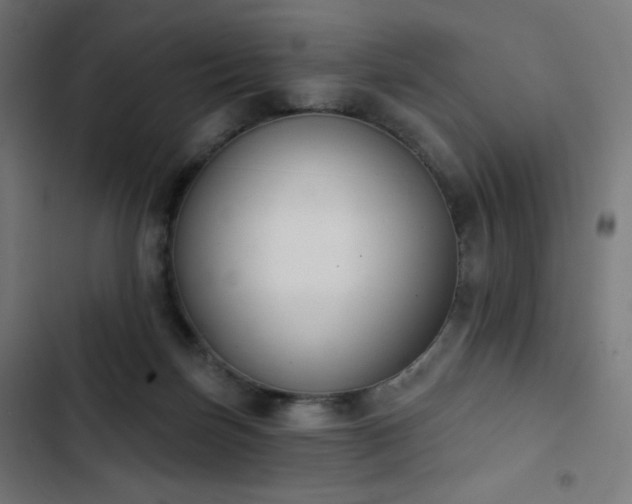 X0000103260171200809051452