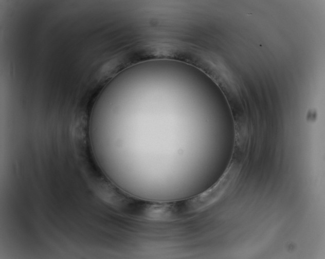 X0000103260175200809051452