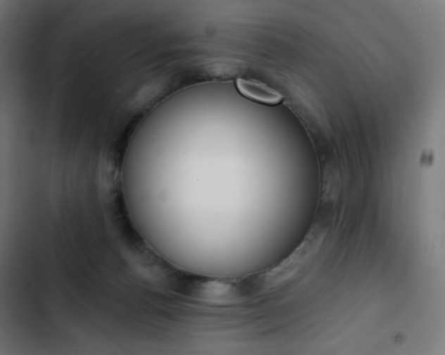 X0000103260176200809051452