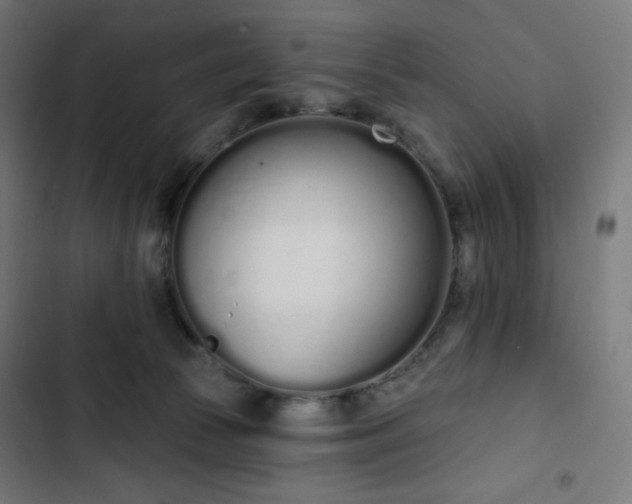 X0000103260177200809051452