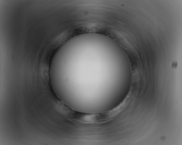 X0000103260178200809051452