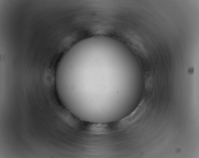 X0000103260179200809051452